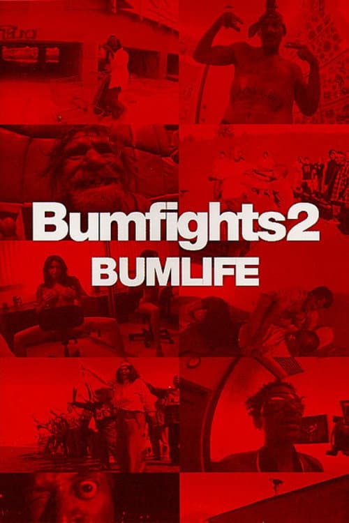 Постер: Bumfights Vol. 2: Bumlife