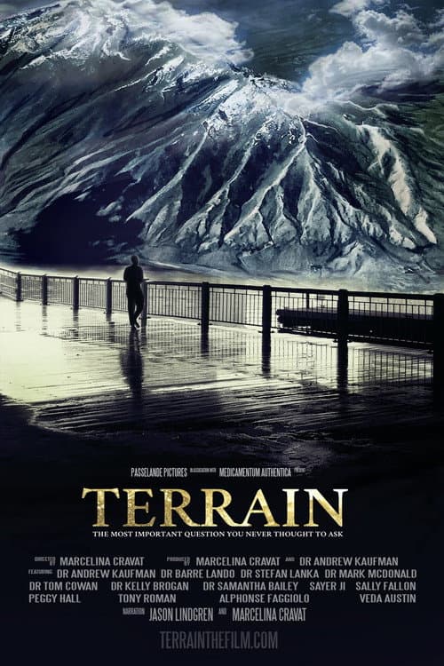 Постер: Terrain