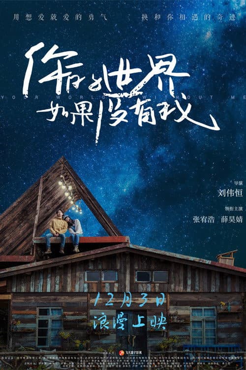 Постер: 你的世界如果没有我