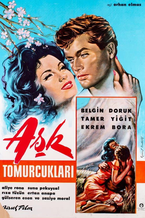 Постер: Aşk Tomurcukları