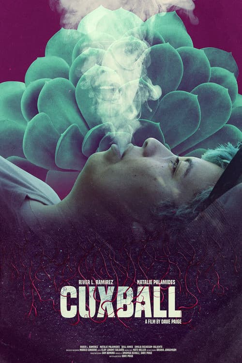 Постер: Cuxball