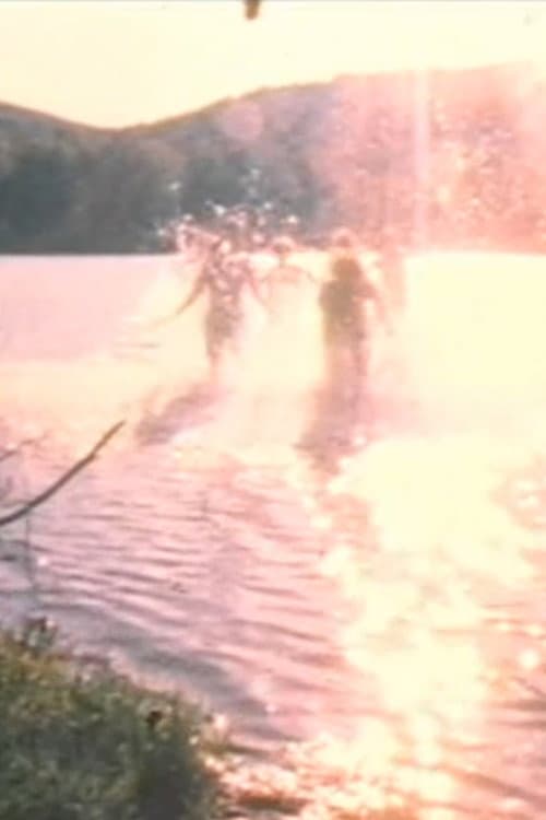Постер: Water Light/Water Needle (Lake Mah Wah, NJ)