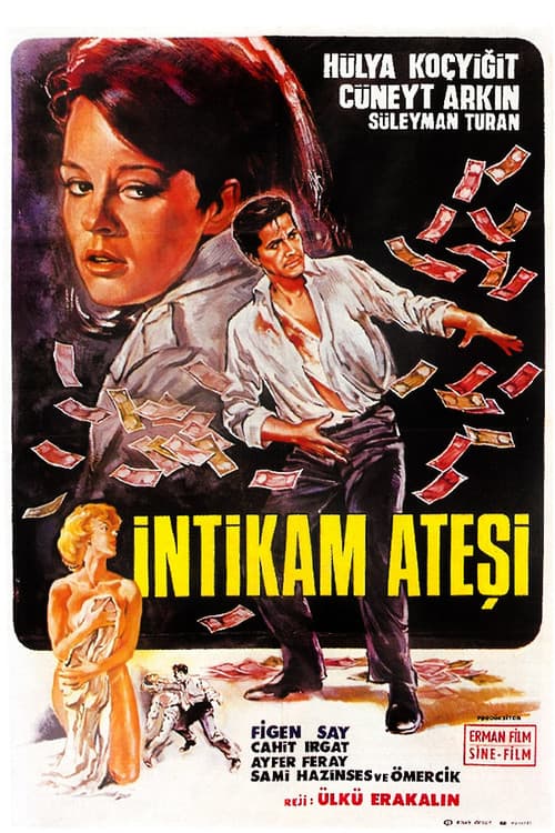 Постер: İntikam Ateşi