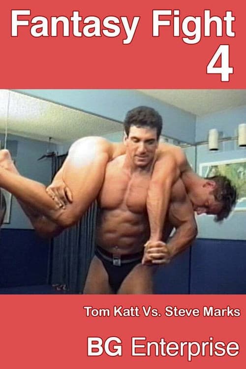 Постер: Fantasy Fight 4