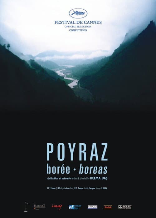 Постер: Poyraz