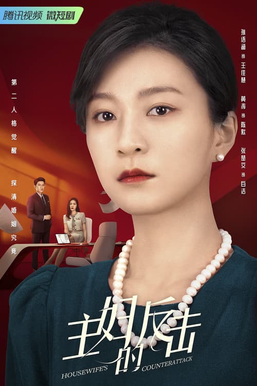 Постер: 主妇的反击