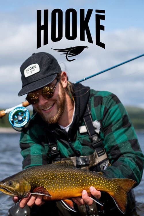 Постер: Hooké
