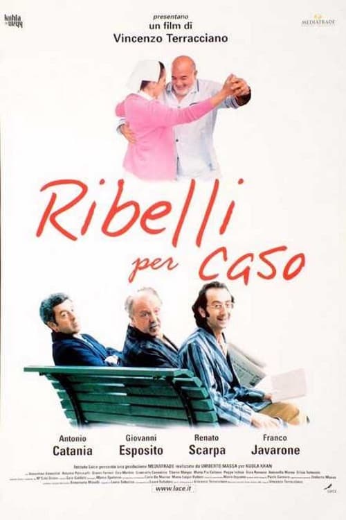 Постер: Ribelli per caso