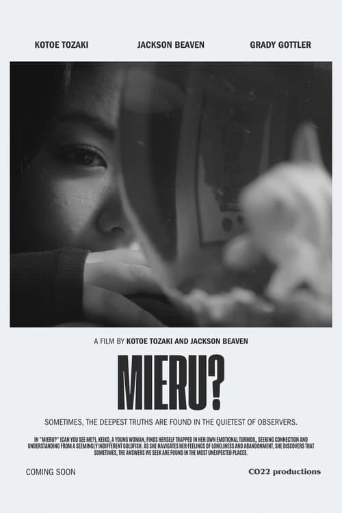 Постер: Mieru?