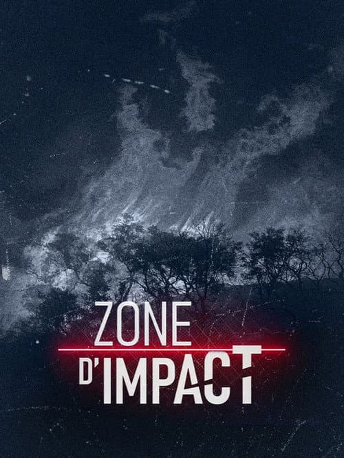 Постер: Zone d'impact