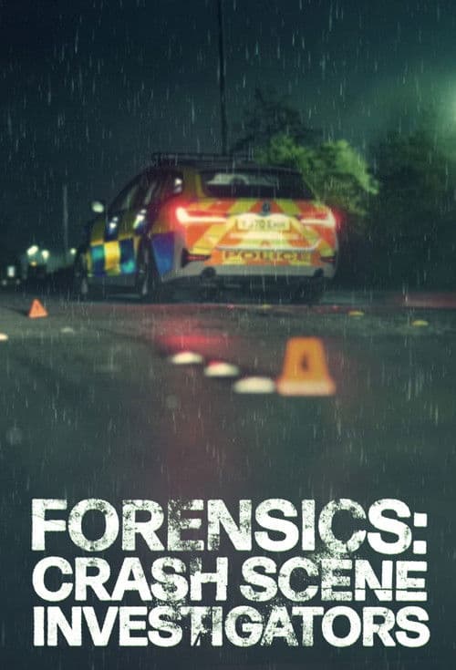 Постер: Forensics: Crash Scene Investigators