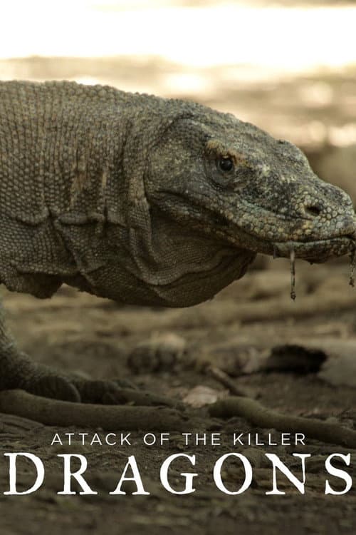 Постер: Attack of the Killer Dragons