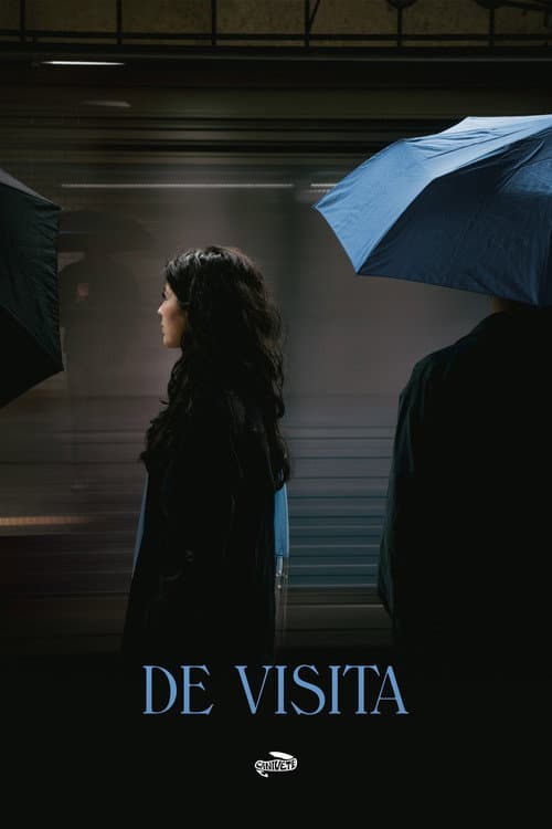 Постер: DE VISITA