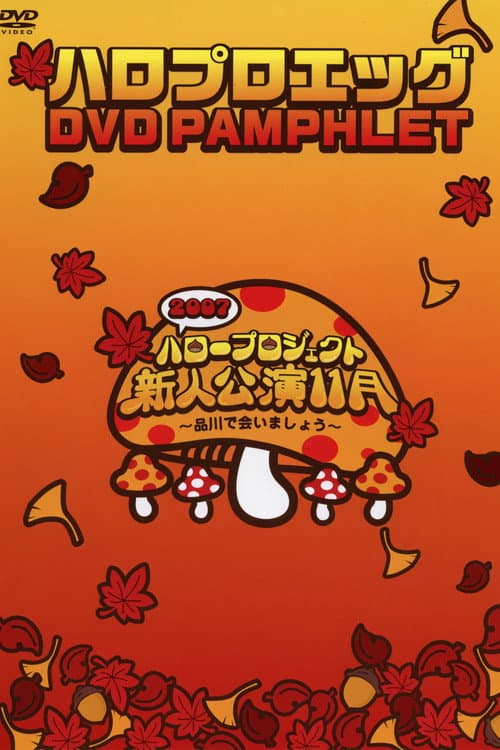 Постер: ハロプロ エッグ DVD Pamphlet