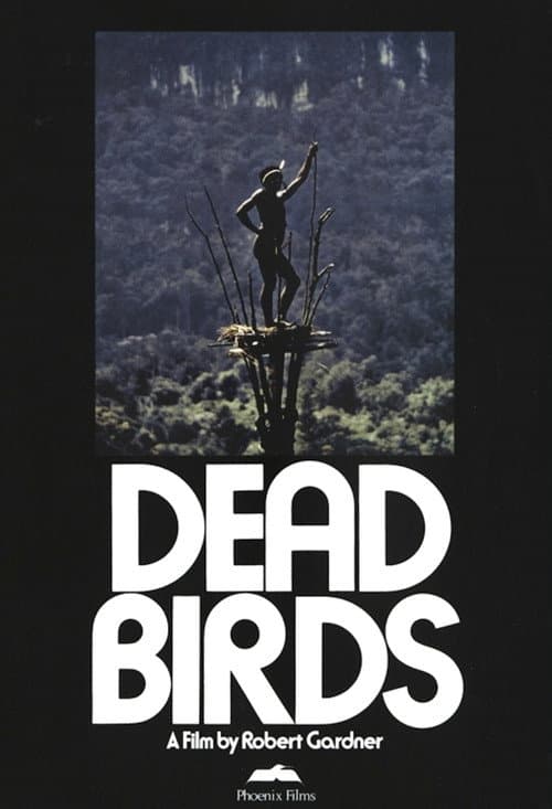 Постер: Dead Birds