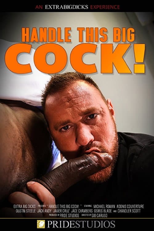 Постер: Handle This Big Cock!