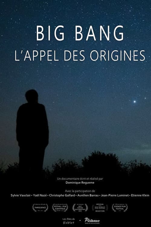 Постер: Big bang, l'appel des origines