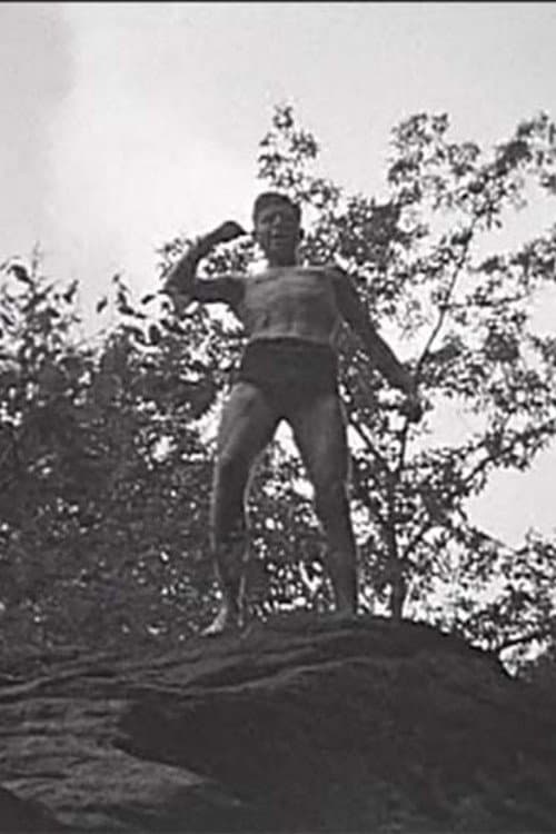 Постер: Tarzan and the Rocky Gorge
