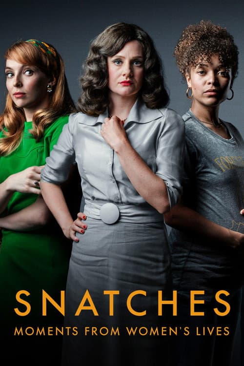 Постер: Snatches: Moments from Women's Lives