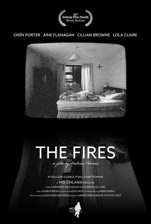 Постер: The Fires