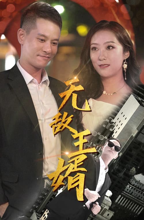 Постер: 无敌王婿