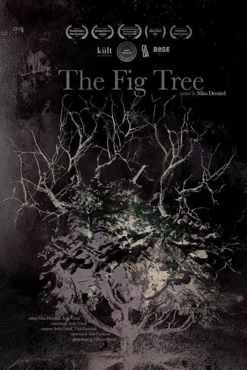 Постер: The Fig Tree