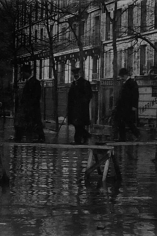 Постер: Paris unter Hochwasser