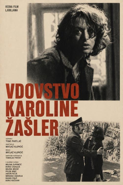 Постер: Vdovstvo Karoline Žašler
