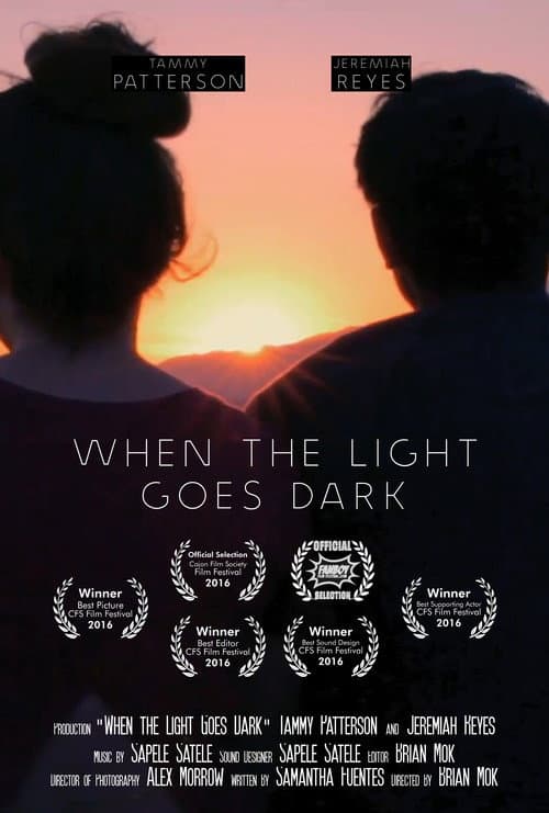 Постер: When the Light Goes Dark