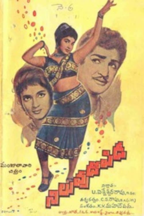 Постер: నిలువు దోపిడీ