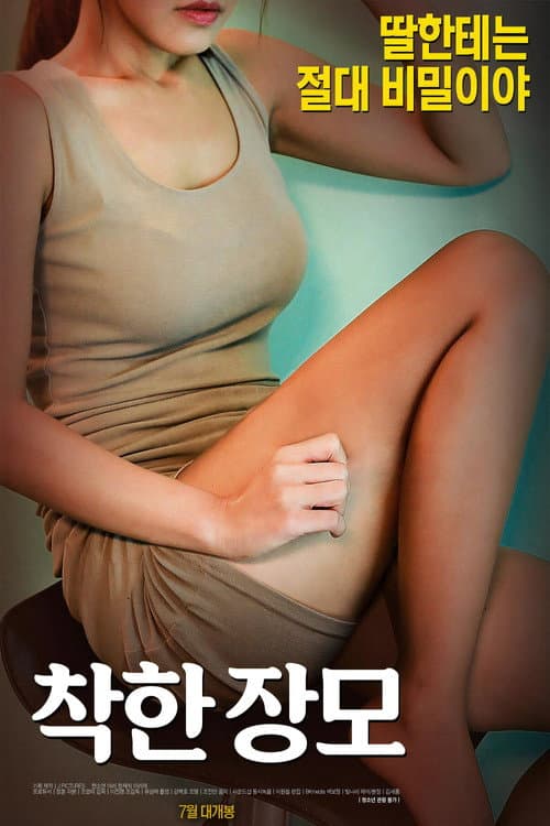 Постер: 착한 장모