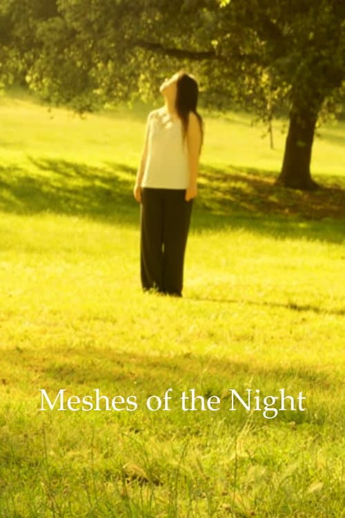 Постер: Meshes Of The Night