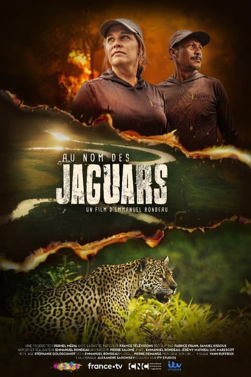 Постер: Au nom des jaguars
