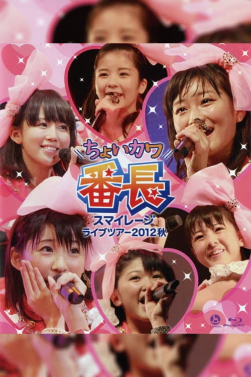 Постер: スマイレージ ライブツアー 2012秋 ～ちょいカワ番長～