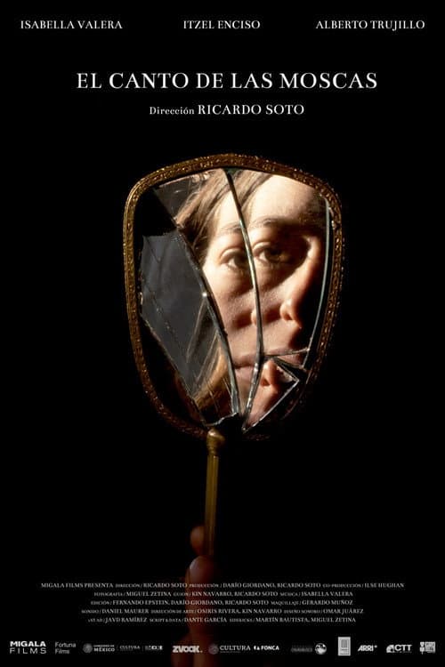 Постер: El canto de las moscas