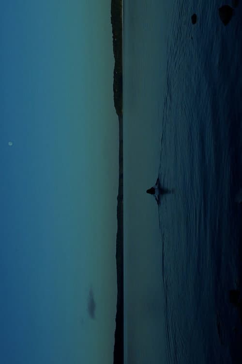 Постер: THE WATERS