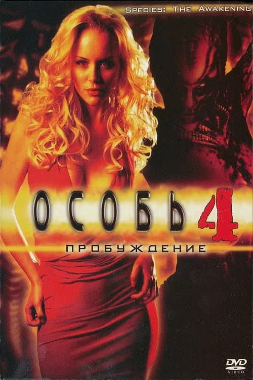 Кадр 3