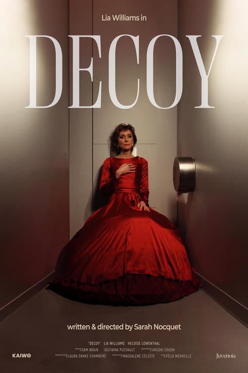 Постер: Decoy