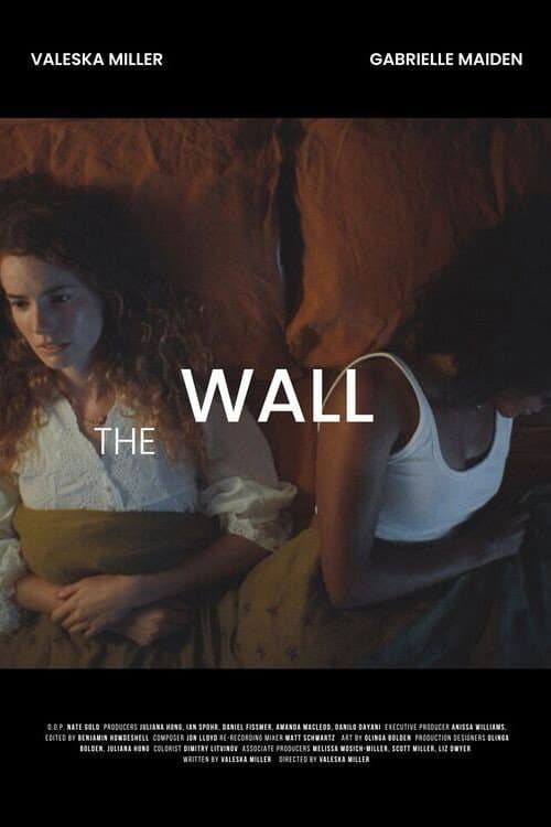 Постер: The Wall