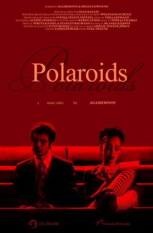 Постер: Polaroids