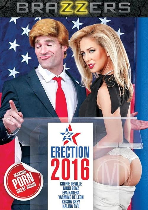 Постер: ZZ Erection 2016