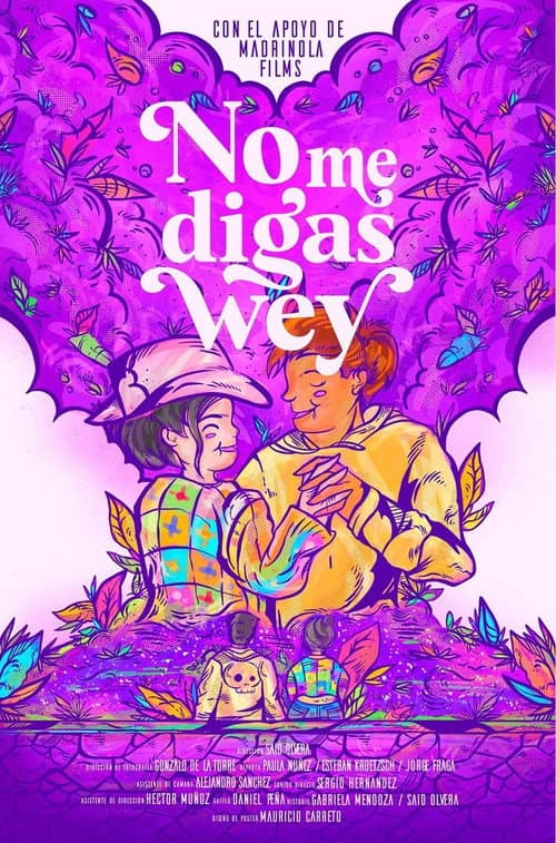 Постер: No Me Digas Wey