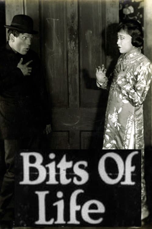 Постер: Bits of Life