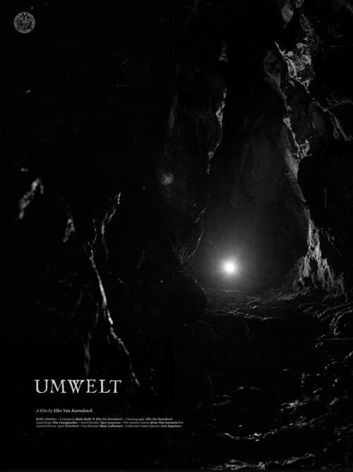 Постер: Umwelt