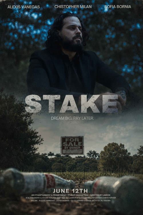 Постер: Stake
