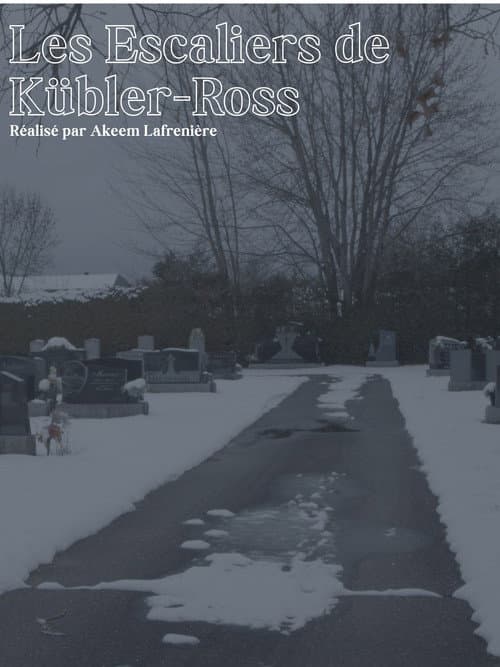 Постер: Les Escaliers de Kübler-Ross