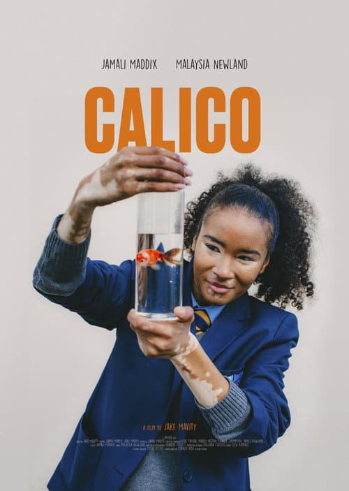 Постер: CALICO