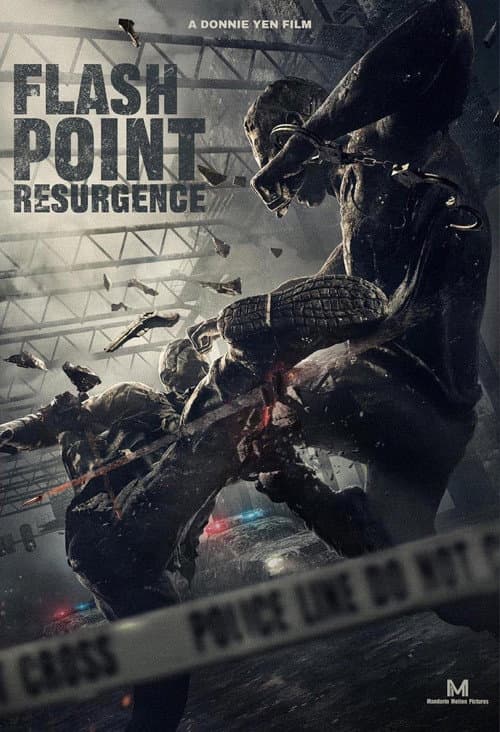 Постер: Flash Point: Resurgence