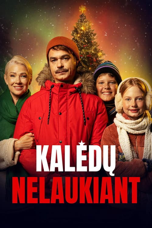 Постер: Kalėdų nelaukiant