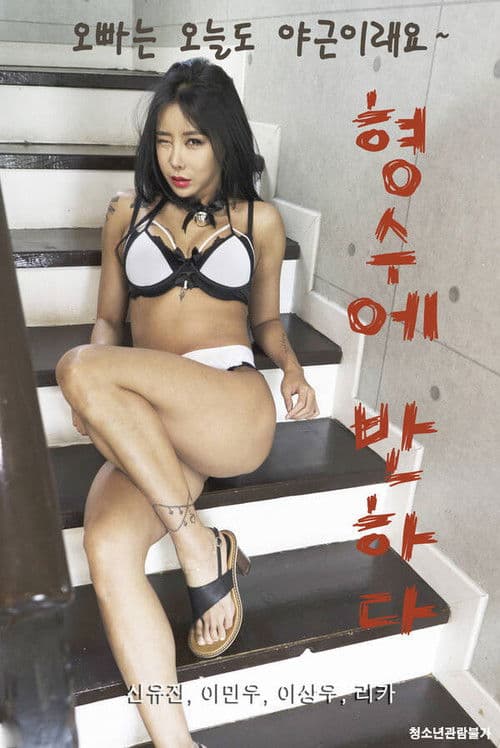 Постер: 형수에 반하다